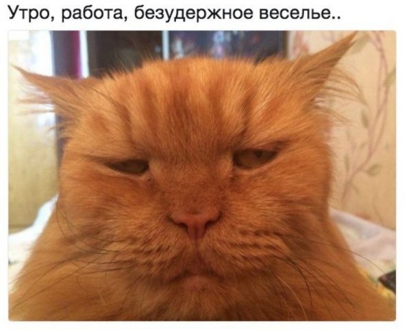 Ненавижу утро