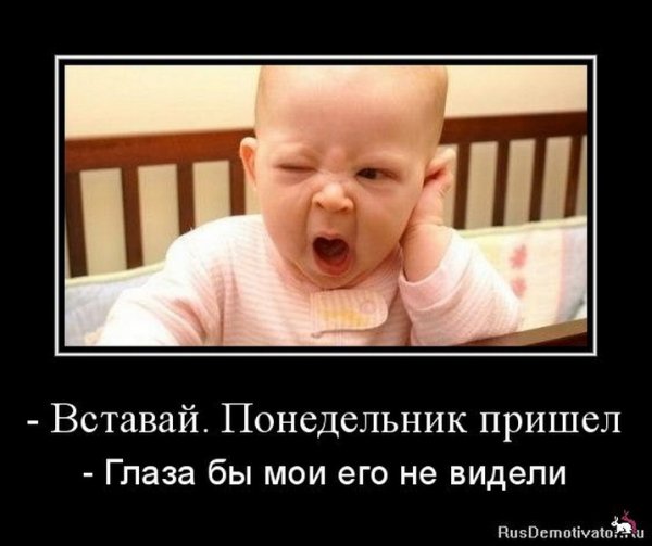 Понедельник приколы
