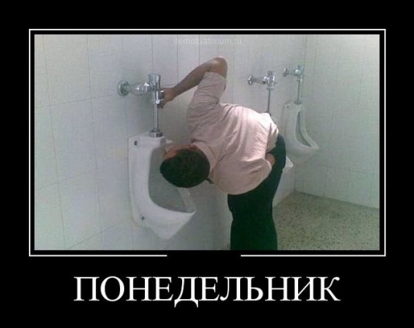Понедельник приколы