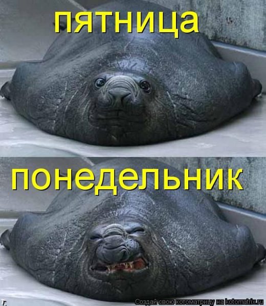Понедельник день тяжелый