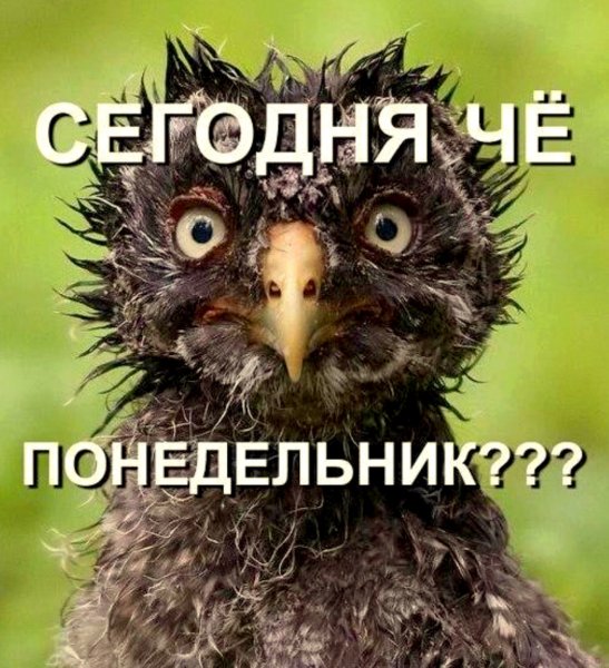 Опять понедельник