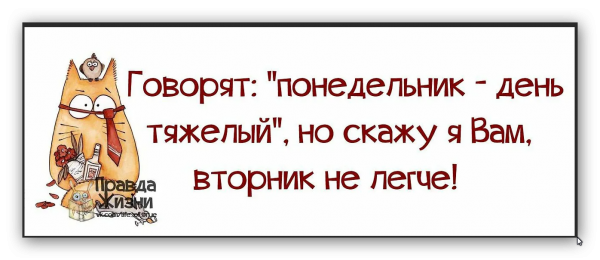 Цитаты про вторник смешные