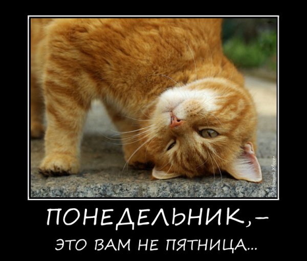 Уже понедельник