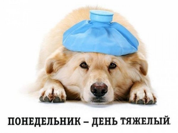 Понедельник деньттяжелый