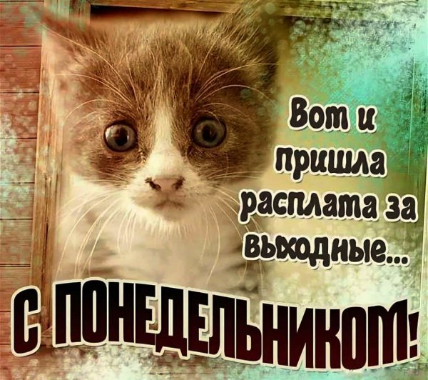 Открытки с понедельником