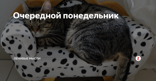 Ленивый понедельник