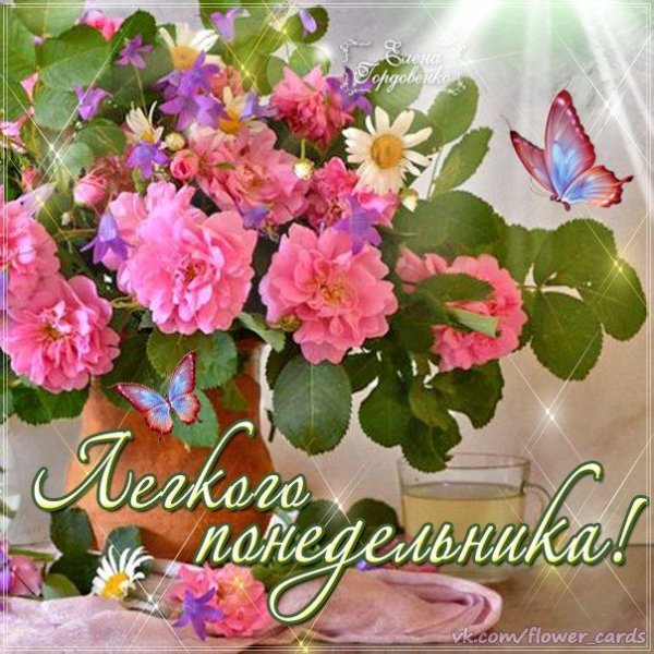 Лёгкого понедельника цветы