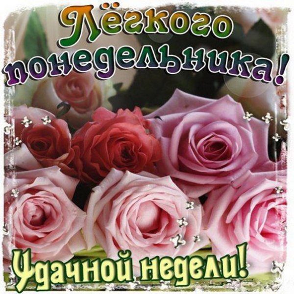 Красивые открытки с понедельником