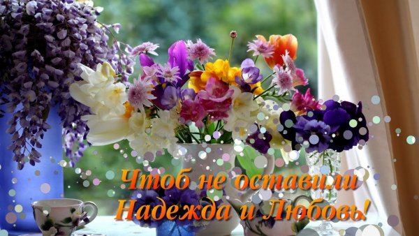 Цветы понедельник.