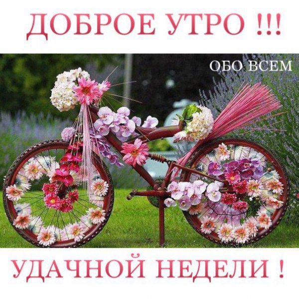 Доброе утро понедельника и удачной недели
