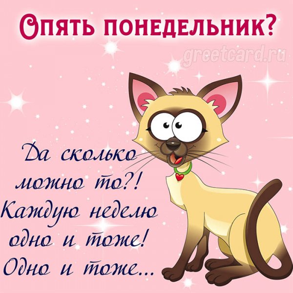 Открытка понедельник с котиком