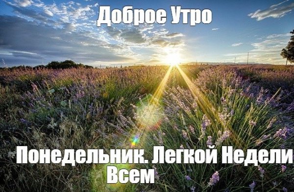 Хорошей недели лето