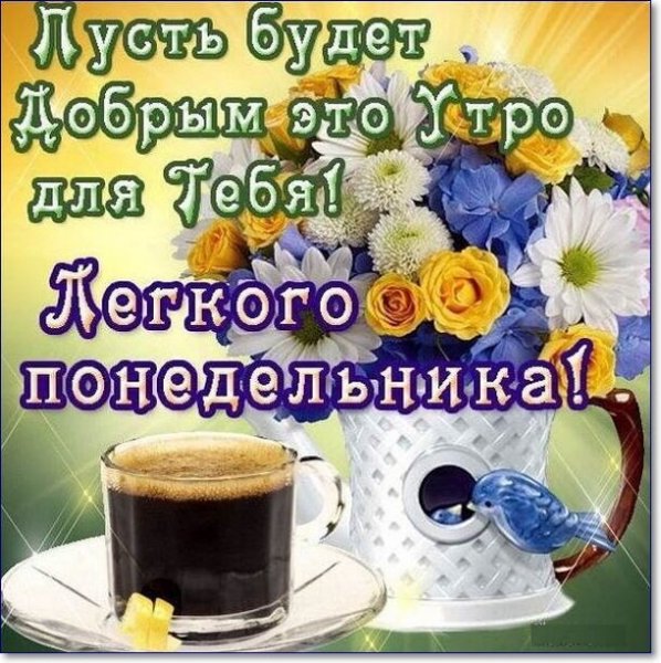 С добрым утро понкдкльника