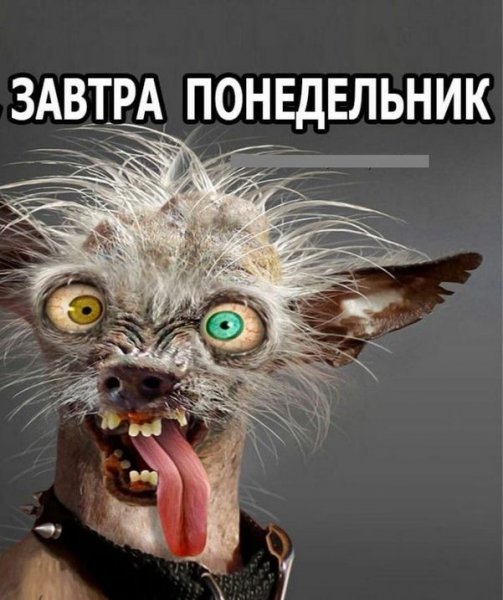 Завтра понедельник