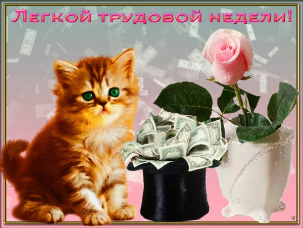 Легкой недели