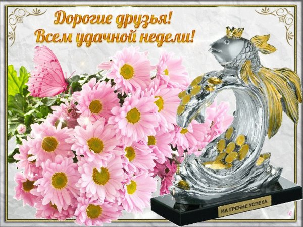 Удачной недели и хорошего настроения