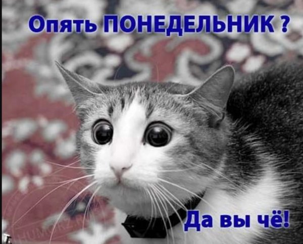 Опять понедельник
