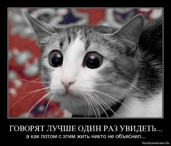 Понедельник картинки прикольные