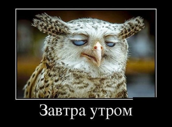 Завтра опять понедельник