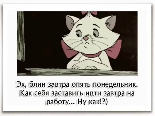 Спокойной ночи завтра понедельник прикольные