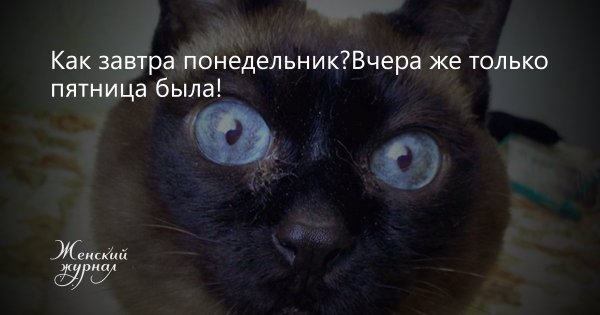 Воскресенье завтра понедельник