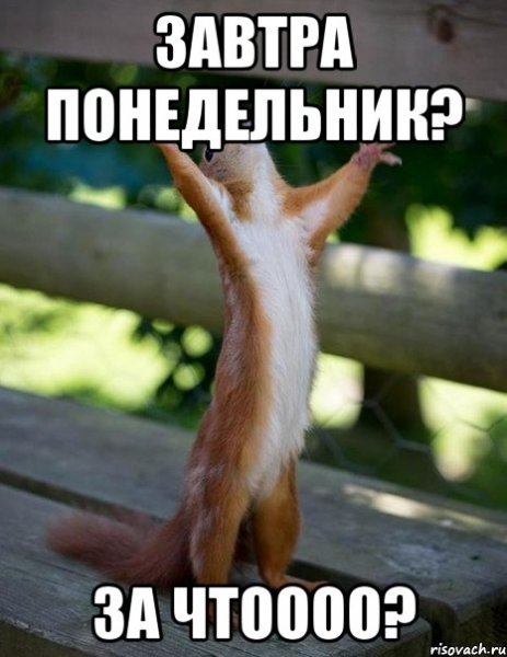 Воскресенье завтра понедельник