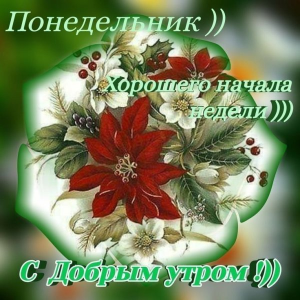 Доброго благословенного понедельника