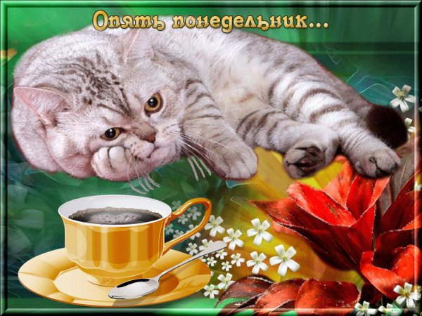 Открытки опять понедельник