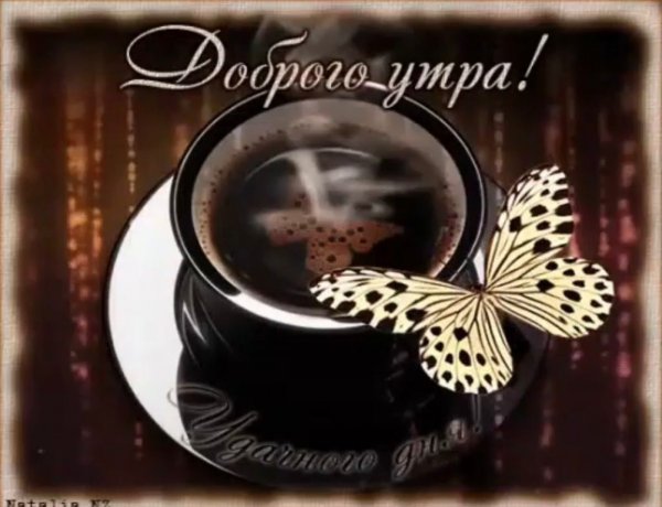 Доброе утро бабочки