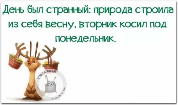 Шутки про вторник