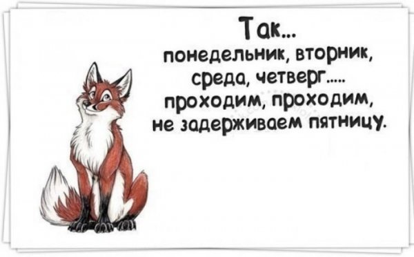 Смешные высказывания про вторник