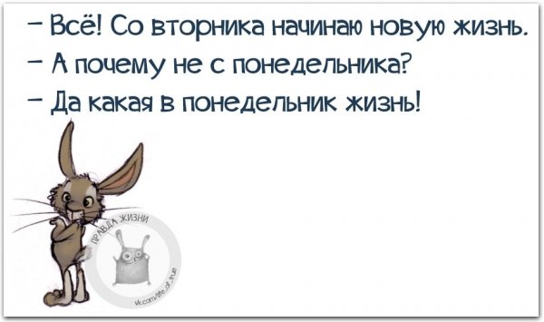 Начинаю новую жизнь прикольные