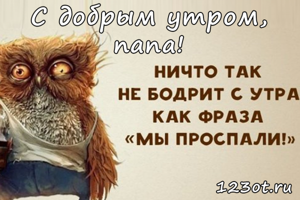 Куда высыпаюсь Сова