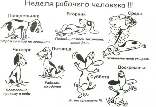 Рабочая неделя приколы