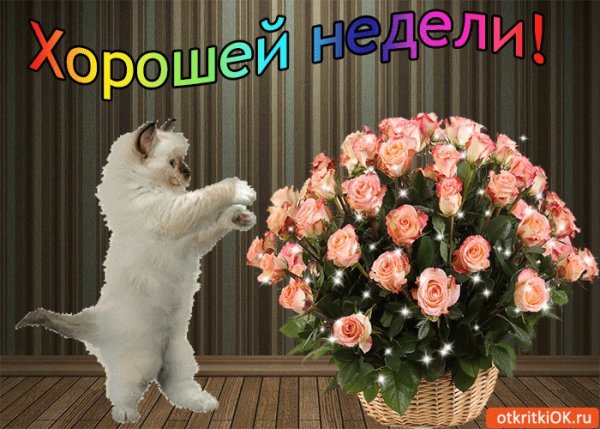 Удачной недели цветы