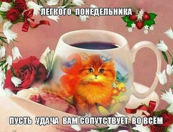 Лёгкого понедельника и удачной недели