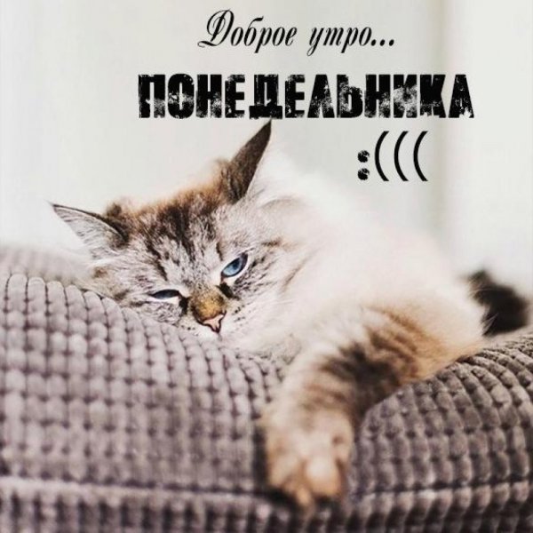 Завтра вторник