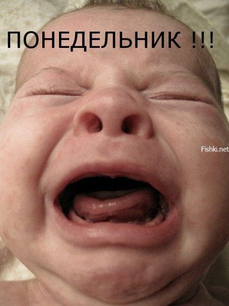Фото понедельника смешное