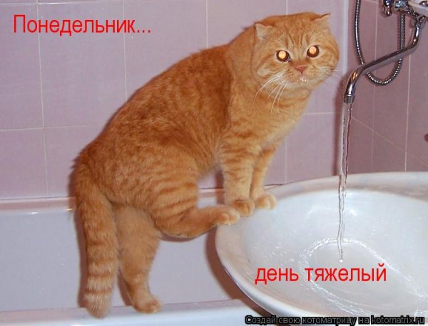 Понедельник день тяжелый
