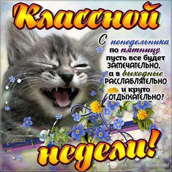 Веселые пожелания на понедельник