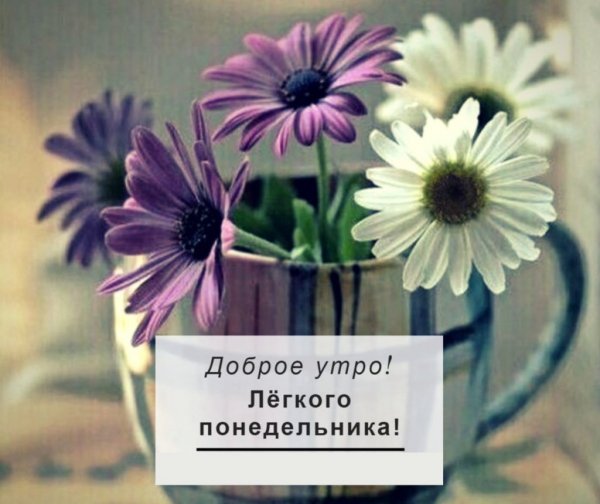 Статусы про понедельник