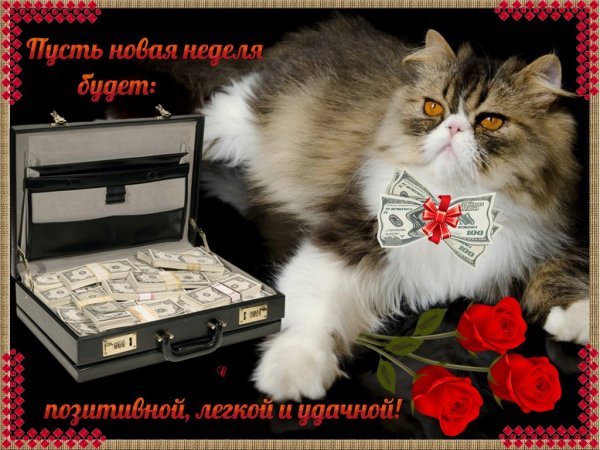 Поздравление с понедельником