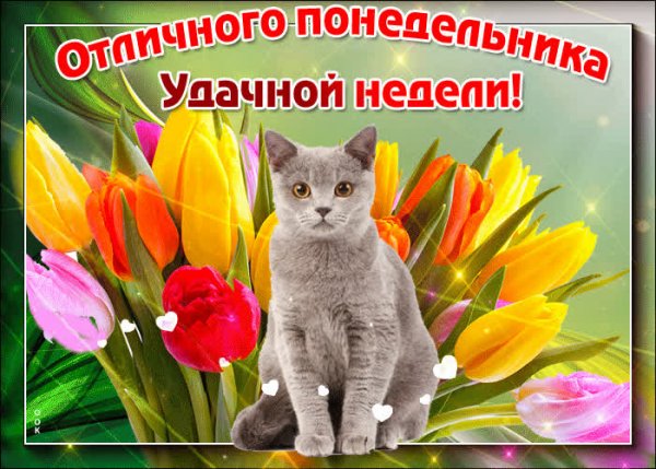 С добрым утром понедельника