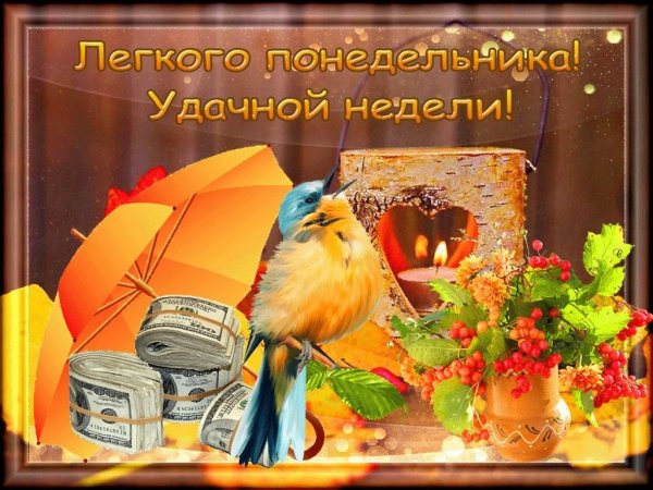 Стдньным утром понедельника