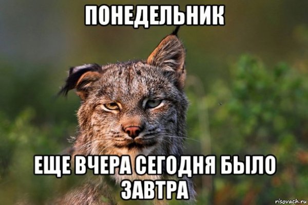 Просыпаемся воскресенья