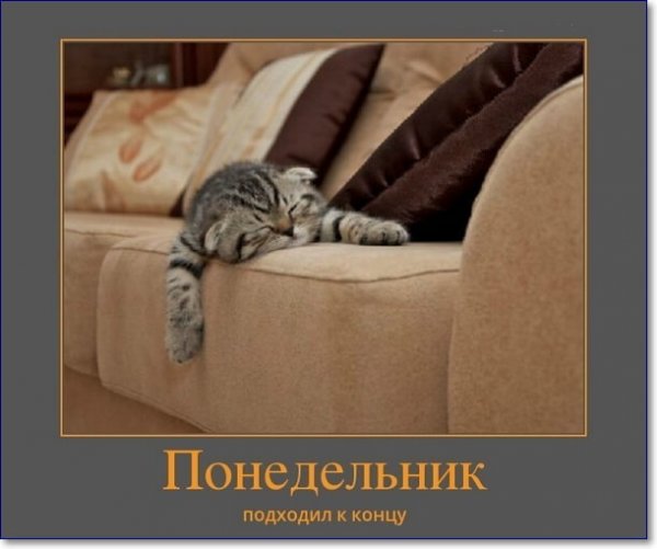 Вторник с привкусом понедельника