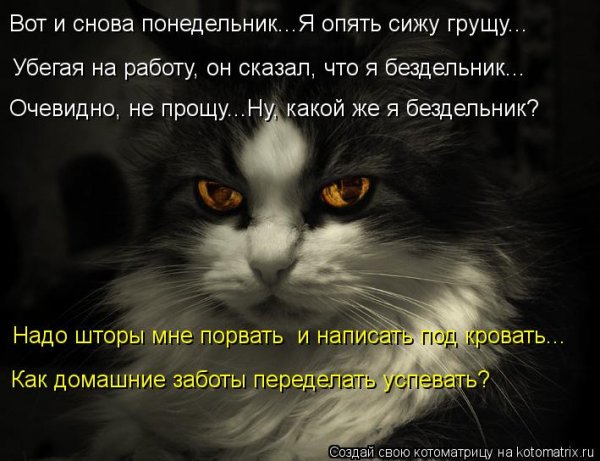 Вот и снова понедельник