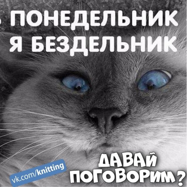 Понедельник приколы