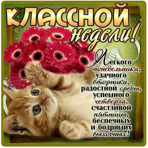 Поздравление с понедельником