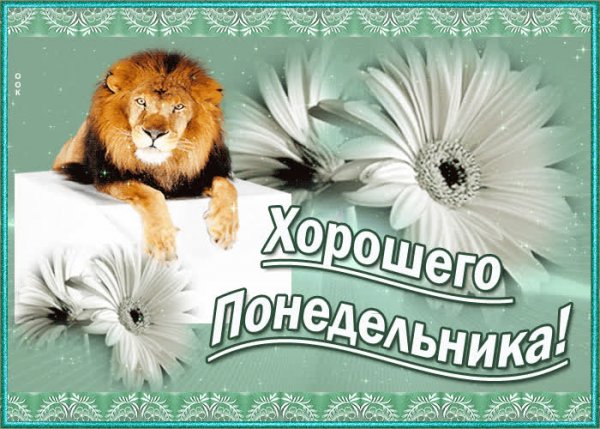 Добрый день понедельник